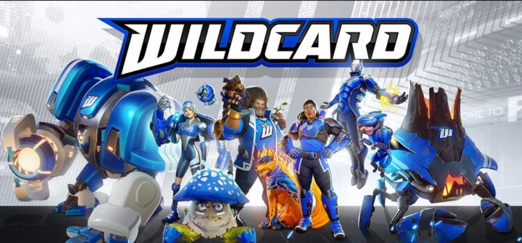 Wildcard Raises $9 Million But Shies Away From Web3 Gaming Identity
