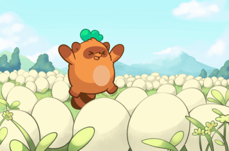 Moki Genesis Collection